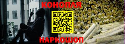 шишки Будённовск