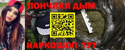 шишки Будённовск