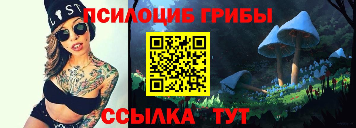 Галлюциногенные грибы Cubensis Трёхгорный